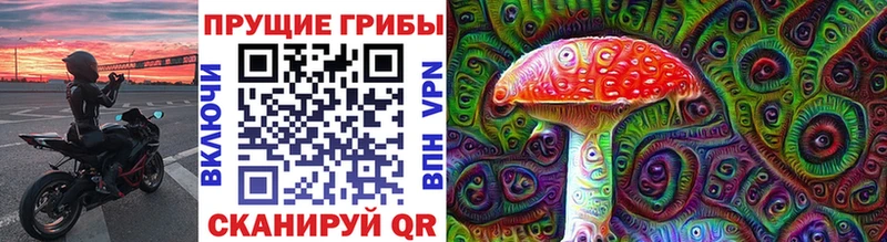 дарк нет формула  Полесск  Галлюциногенные грибы прущие грибы  где продают  